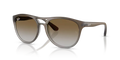 rb41708547z_1.png