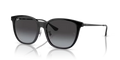 rb4333d6018g_1.png