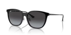 rb4333d6018g_1.png