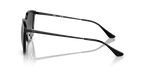 rb4333d6018g_2.png