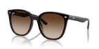 rb4423d71413_1.png