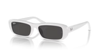 rb4436d677287_1.png