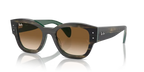 rb7681s140251_1.png
