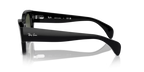 rb7681s90131_2.png