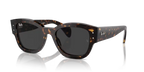 rb7681s90248_1.png