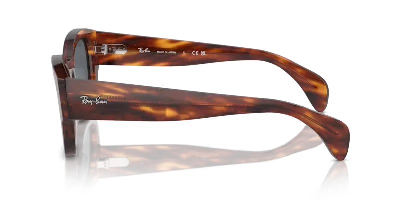 rb7681s954r5_2.png