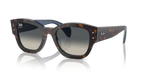 rb7681s140171_1.png