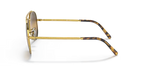 rb36259196g5_2.png