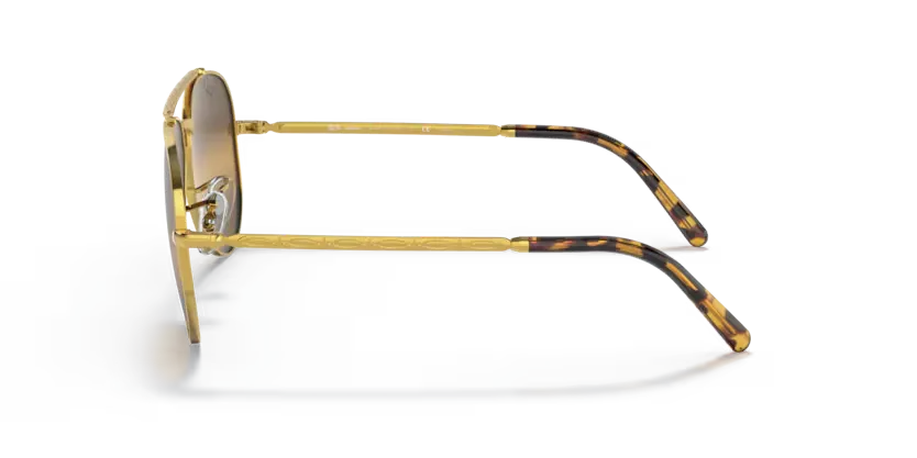 rb36259196g5_2.png