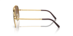 rb362500151_2.png