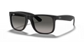 rb4165l6018g_1.png