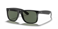 rb4165l60171_1.png