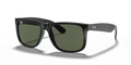 rb4165l62271_1.png