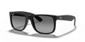 rb4165l2062220t3_1.png