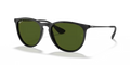 rb41716012p_1.png