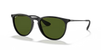 rb41716012p_1.png