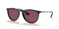 rb41716015q_1.png