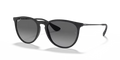 rb4171622t3_1.png