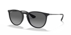 rb4171622t3_1.png