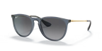 rb41716592t3_1.png