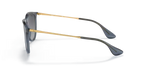 rb41716592t3_2.png