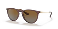 rb41716593t5_1.png