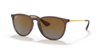 rb41716593t5_1.png