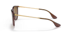 rb41716593t5_2.png