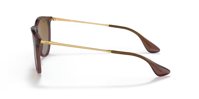 rb41716593t5_2.png