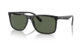 rb4373l60171_1.png