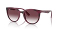 rb4383l655336_1.png