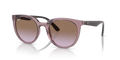 rb4383l657468_1.png