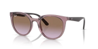 rb4383l657468_1.png