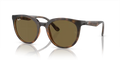 rb4383l71073_1.png