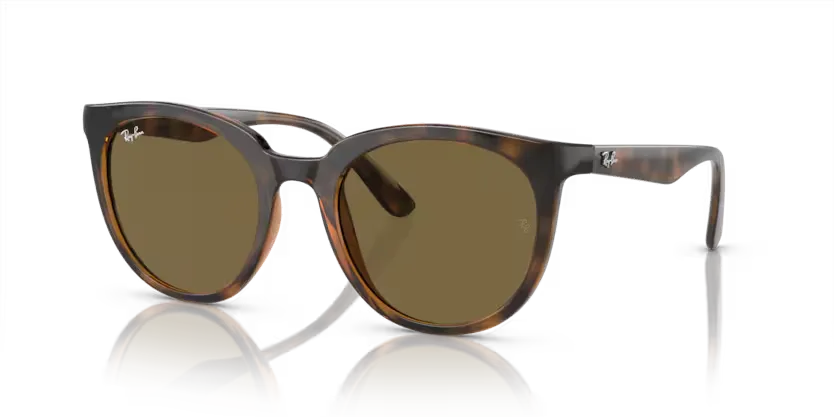 rb4383l71073_1.png