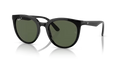 rb4383l6019a_1.png