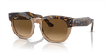 rb0298s1292m2_1.png