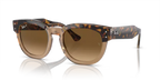 rb0298s1292m2_1.png