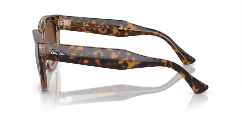 rb0298s1292m2_2.png