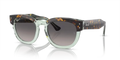 rb0298s1376m3_1.png