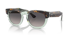 rb0298s1376m3_1.png