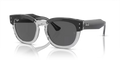rb0298s1396b1_1.png