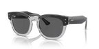 rb0298s1396b1_1.png