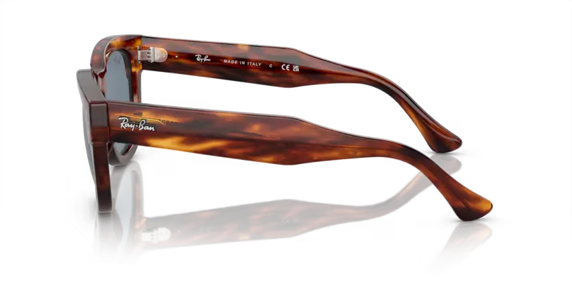 rb0298s95462_2.png