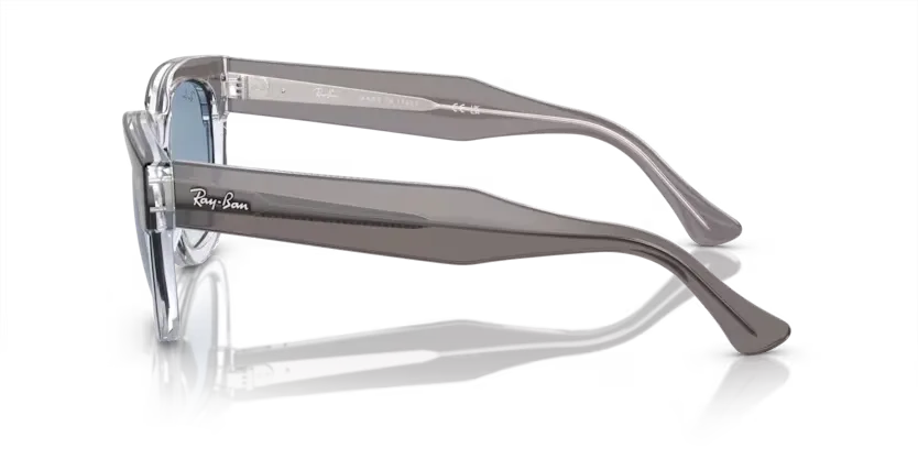 rb0298s13553f_2.png