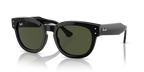 rb0298s90131_1.png