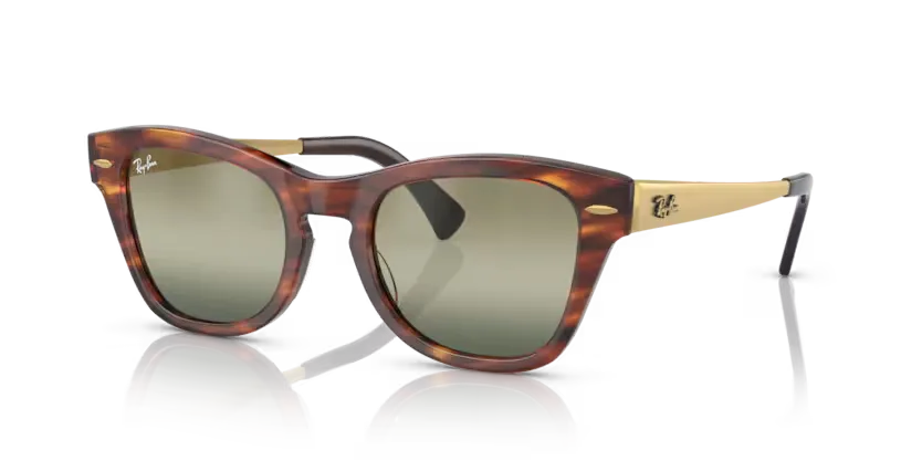 rb0707sm954g4_1.png