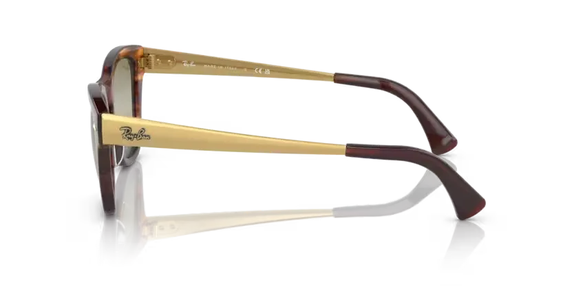rb0707sm954g4_2.png