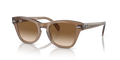 rb0707s664051_1.png
