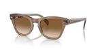 rb0707s664051_1.png